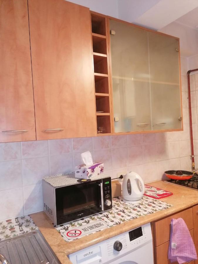 River View, In City Center Apartment Bucureşti Ngoại thất bức ảnh